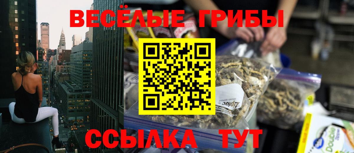 Псилоцибиновые грибы ЛСД Старая Купавна